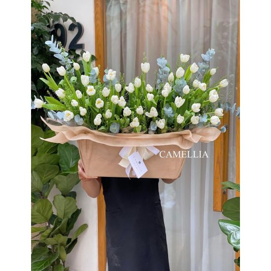 Chậu Hoa Tulip - HHTL12