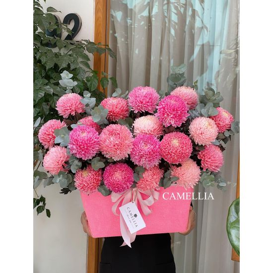 Chậu Cúc Mẫu Đơn - HMĐ23