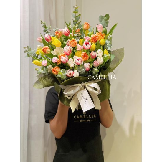 Chậu Hoa Tulip - HHTL03